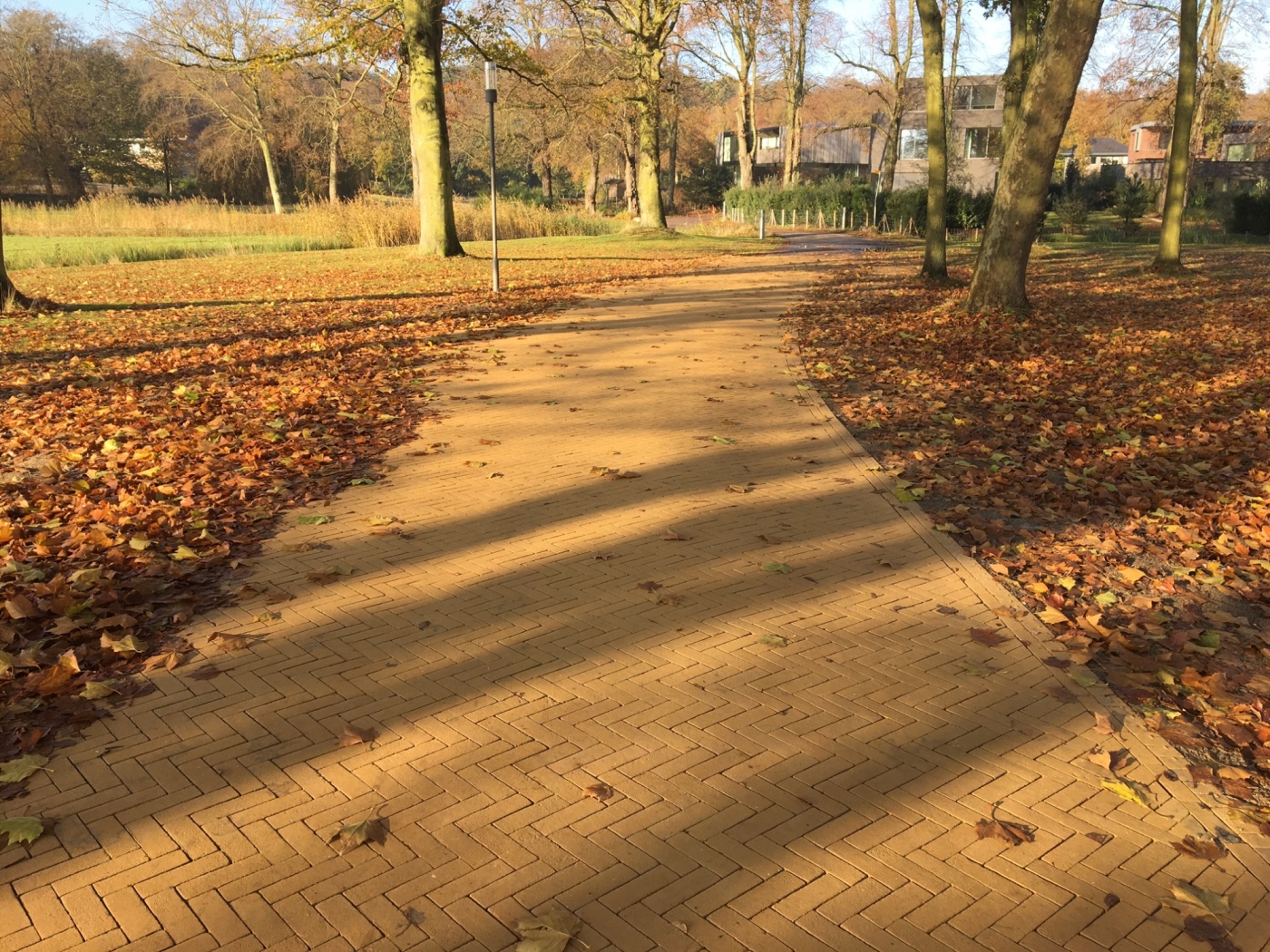 Openbaar park Bloemendaal